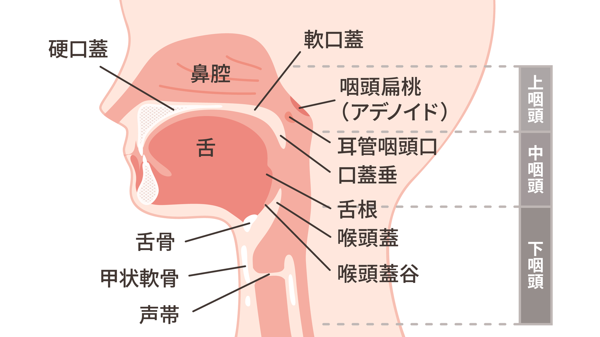 喉 の 違和感 痛み